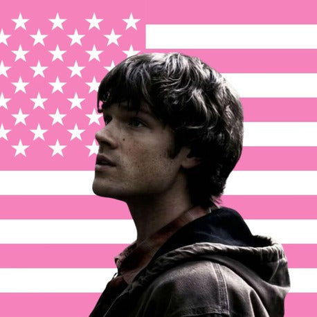 Supernatural Flag - Sam - Pembe